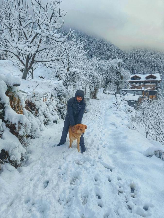 Incredible Guest House Jibhi Екстериор снимка